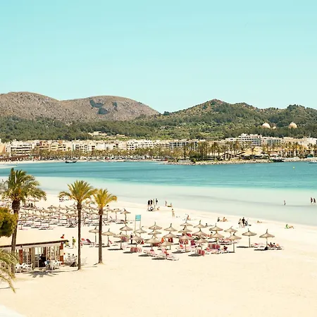 Sunwing Alcudia 알쿠디아 항구